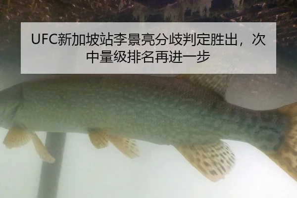 xin-jia-po-zhan-li-jing-liang-fen-qi-pan-ding-sheng-chu-ci-zhong-liang-ji-pai-ming-zai-jin-yi-bu-3-640.jpg